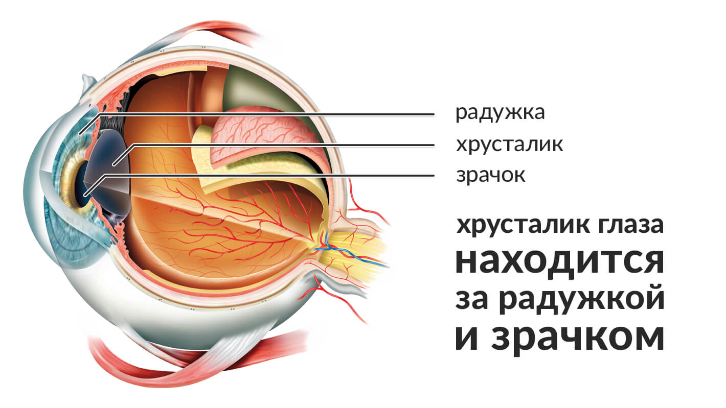 hrustalik-glaza-pri-diabete-1.jpg