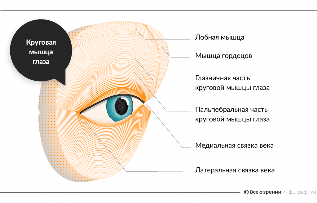  блефароспазм