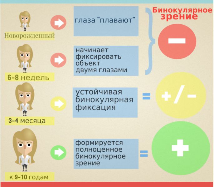 Развитие бинокулярного зрения бинокулярное зрение