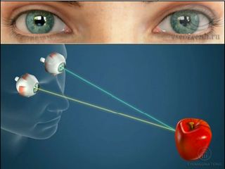 Бинокулярное зрение в норме
