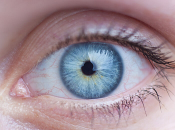 Оптическая когерентная томография — лучший способ контроля за сетчаткой глаза