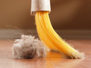 пыль - причина аллергии причина аллергии глаза